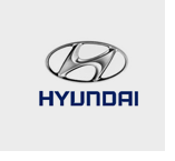 Hyundai Case Study